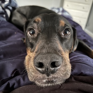 Fundraising Page: Angie Mason